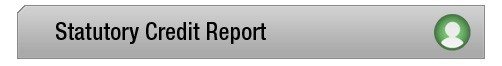 The grey ‘Statutory Credit Report’ box, which does nothing when clicked